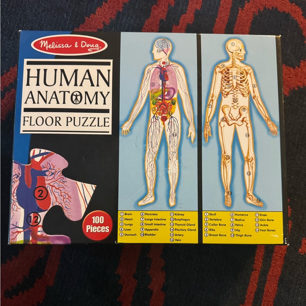 Melissa & Doug Anatomy Floor Puzzle, eeboo Dino Dominoes, mudpuppy World Puzzle - Picture 3 of 12
